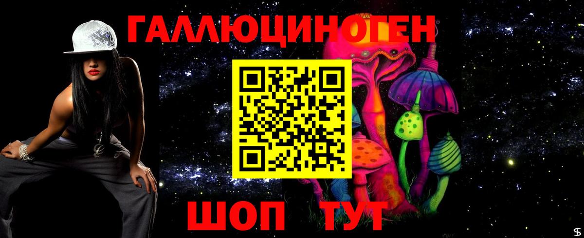 Псилоцибиновые грибы прущие грибы  Вход с VPN  Бердск 